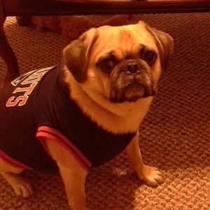 Meet your Posher, Christine